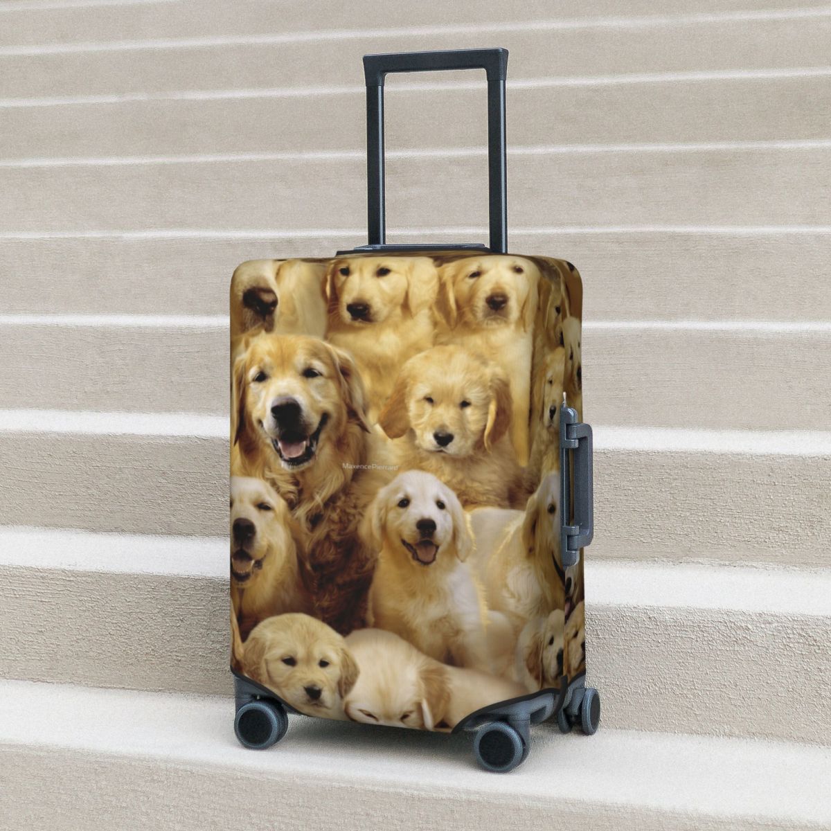 Golden Dog Suitcase Cover Anim - Travel Accessories To 3D Print review and price
